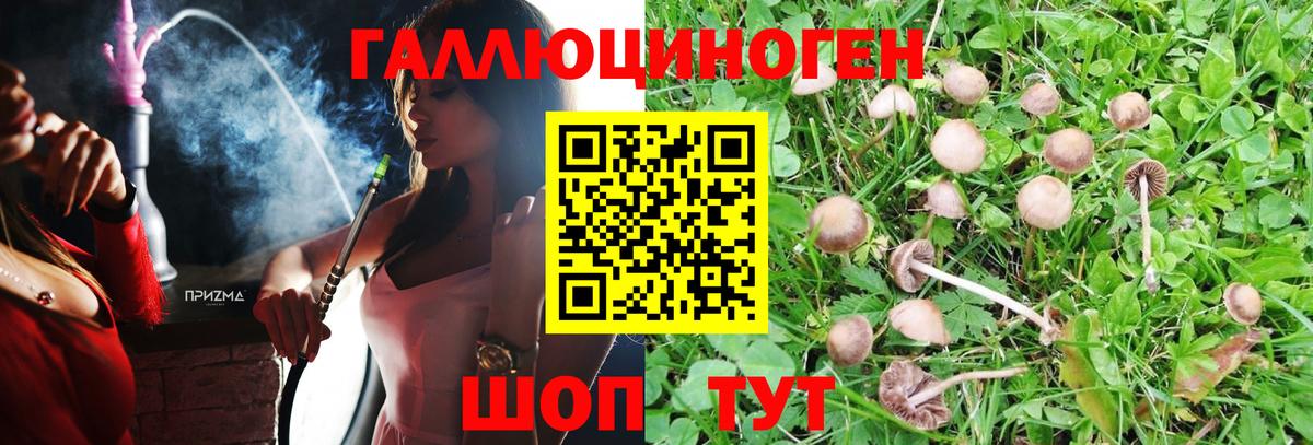 Галлюциногенные грибы мухоморы  Вход с VPN  Чапаевск  Псилоцибиновые грибы Psilocybine cubensis 
